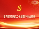 学习贯彻党的二十届四中全会精神