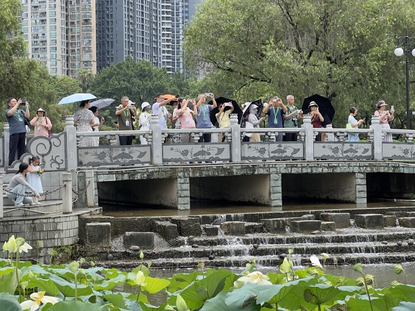 图片2.jpg
